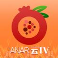 anar云tv电视版官方免费下载  v1.0